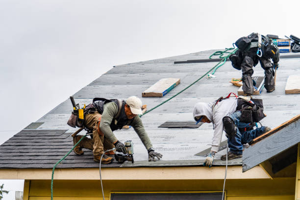 Professional Gutter Installation technician working in Shenandoah, LA